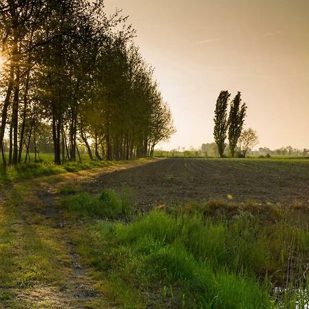 B&B Nascondino Goito  Zewnętrze zdjęcie
